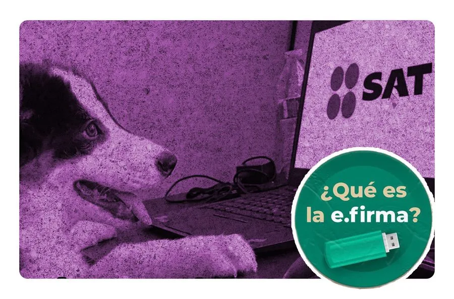 ¿cómo sacar la firma electrónica del sat por internet?