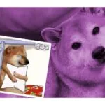 Los cuidadores de Cheems informaron de la muerte del perrito, el 18 de agosto