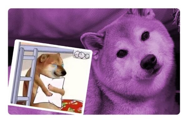 Los cuidadores de Cheems informaron de la muerte del perrito, el 18 de agosto