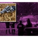 Balacera en carrera de Caballos en Qurétaro deja cinco muertos