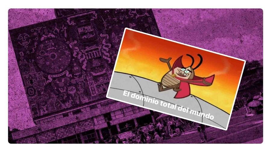 Alumnos denuncian chinches en la unam 2023