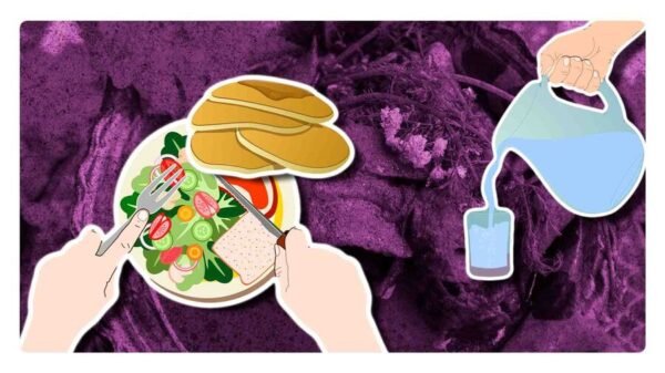 Hoy es el día mundial de la alimentación