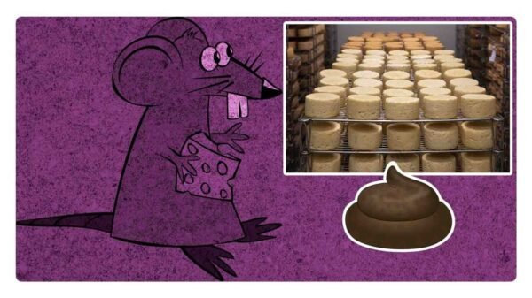 Encuentran heces fecales en quesos de la CDMX