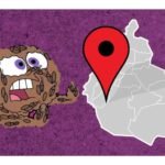 Plaga de chinches en la cdmx: Martí Batres dice que no hay plaga