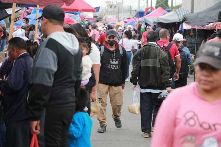 Quesos artesanales de venta en tianguis de la CDMX tienen bacterias