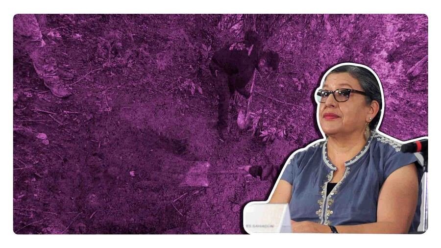 Teresa Guadalupe Reyes Sahagun es la titular de la comision nacional de busqueda de personas