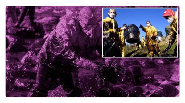 Derrame de petróleo