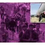 que es la leysb4 en texas