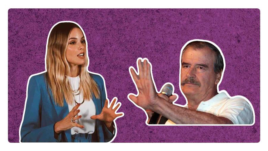 que le dijo vicente fox a mariana rodriguez