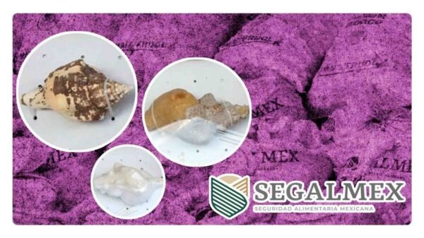 Encuentran metanfetamina en Hong Kong en costales de segalmex