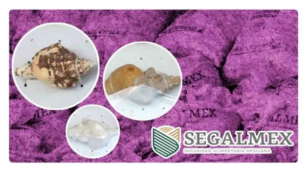 Encuentran metanfetamina en Hong Kong en costales de segalmex