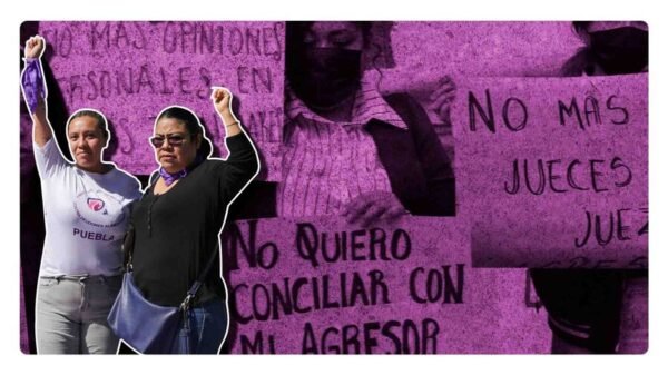 Se aprueba ley vicaria