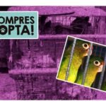 Venta de animales en el mercado de sonora