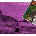 Ecocido en el tren maya, pilas afectan a los acuíferos