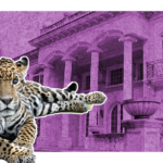 Decomisaron a jaguar del cartel de jalisco