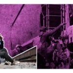 amlo impuganara ley de texas anti inmigrantes 2023