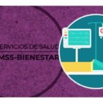 estados con servicios de salud imss bienestar