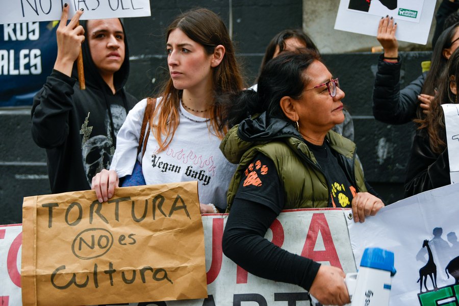 Tauromaquia es aprobada