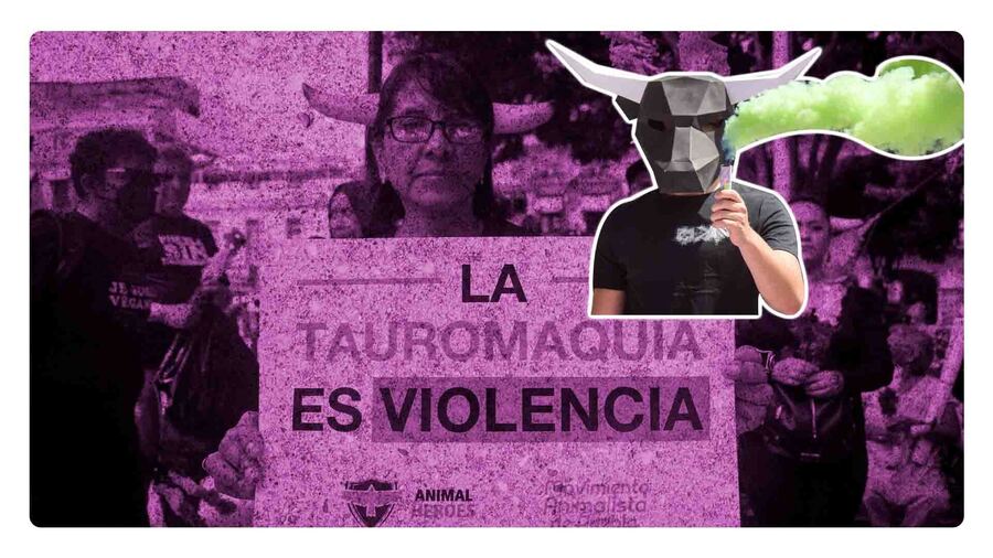 Tauromaquia será votada