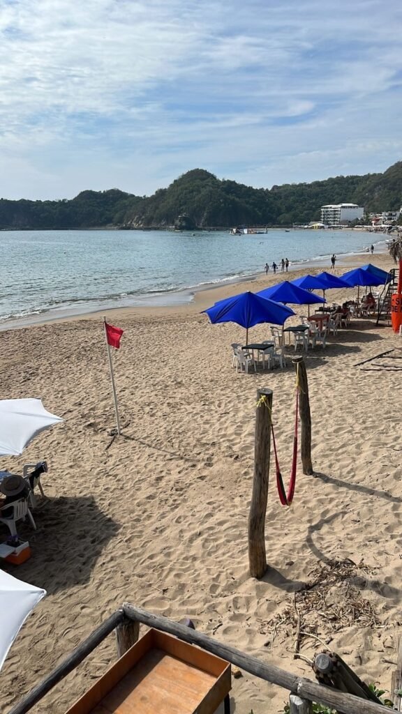 tiburón ataca y muerde a mujer en playa malaque en jalisco