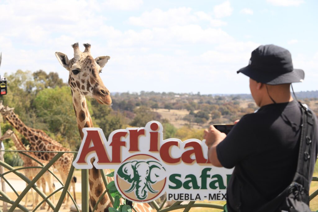Benito llega a Africam Safari