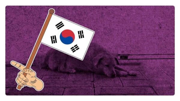 corea del sur prohibe comer carne de perro a partir de 2027