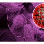 nueva ola de contagios variante priola COVID