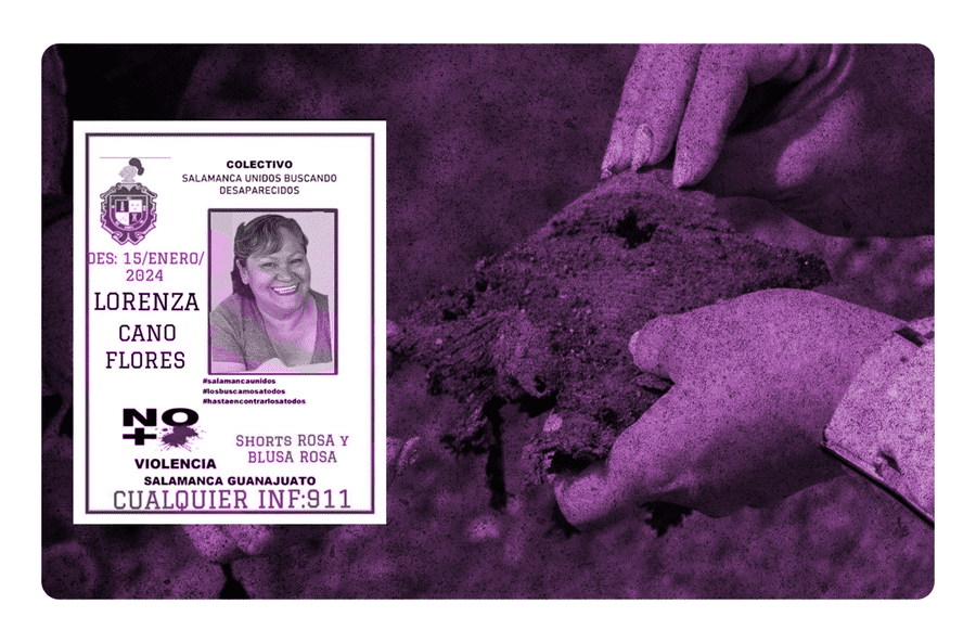 madre buscadora es secuestrada en guanajuato