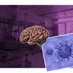 daños que causa la nueva cepa de covid en 2024