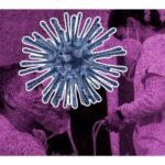 variante de covid provoca dos nuevos síntomas