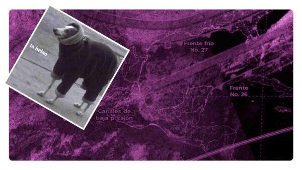 onda gélida frente frio