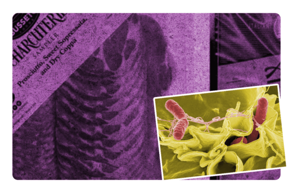 activan alerta por carne contaminada con salmonela en EU