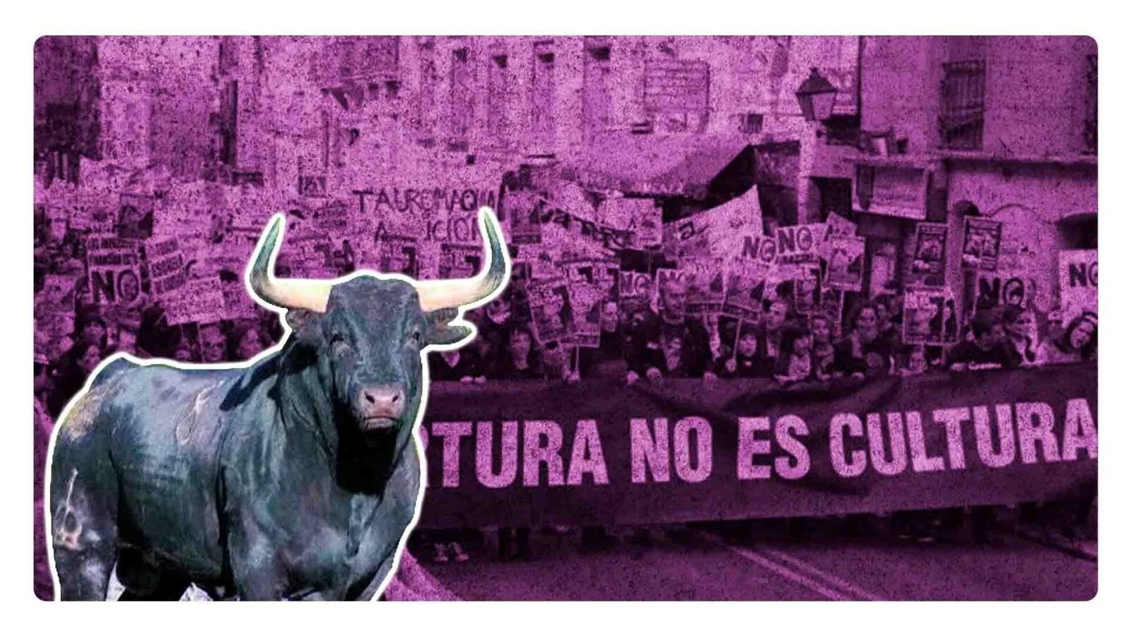 plaza de toros reabre sus puertas