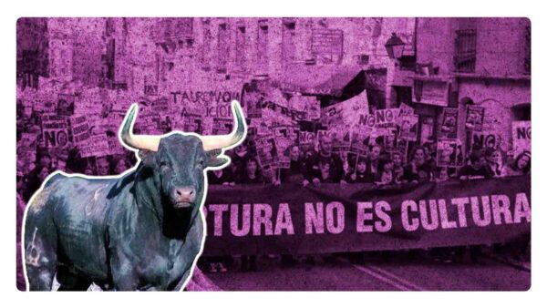 plaza de toros reabre sus puertas