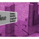 ¿Qué es la Cofece?