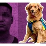 Golda, la perrita que contribuyó en un juicio para la sentencia de un violador