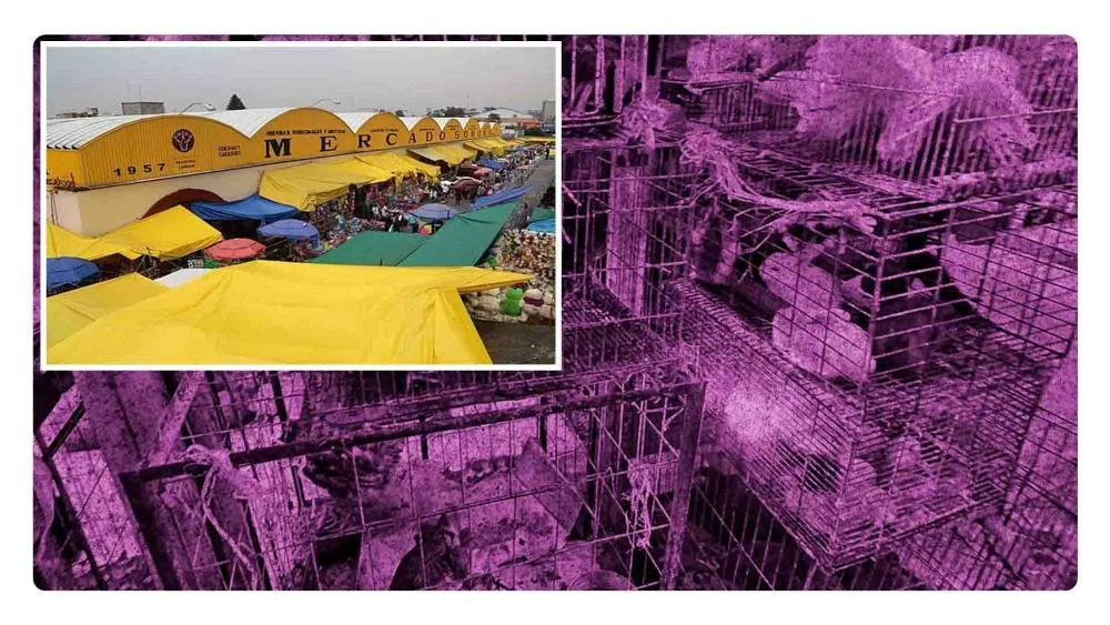 Mercado de Sonora