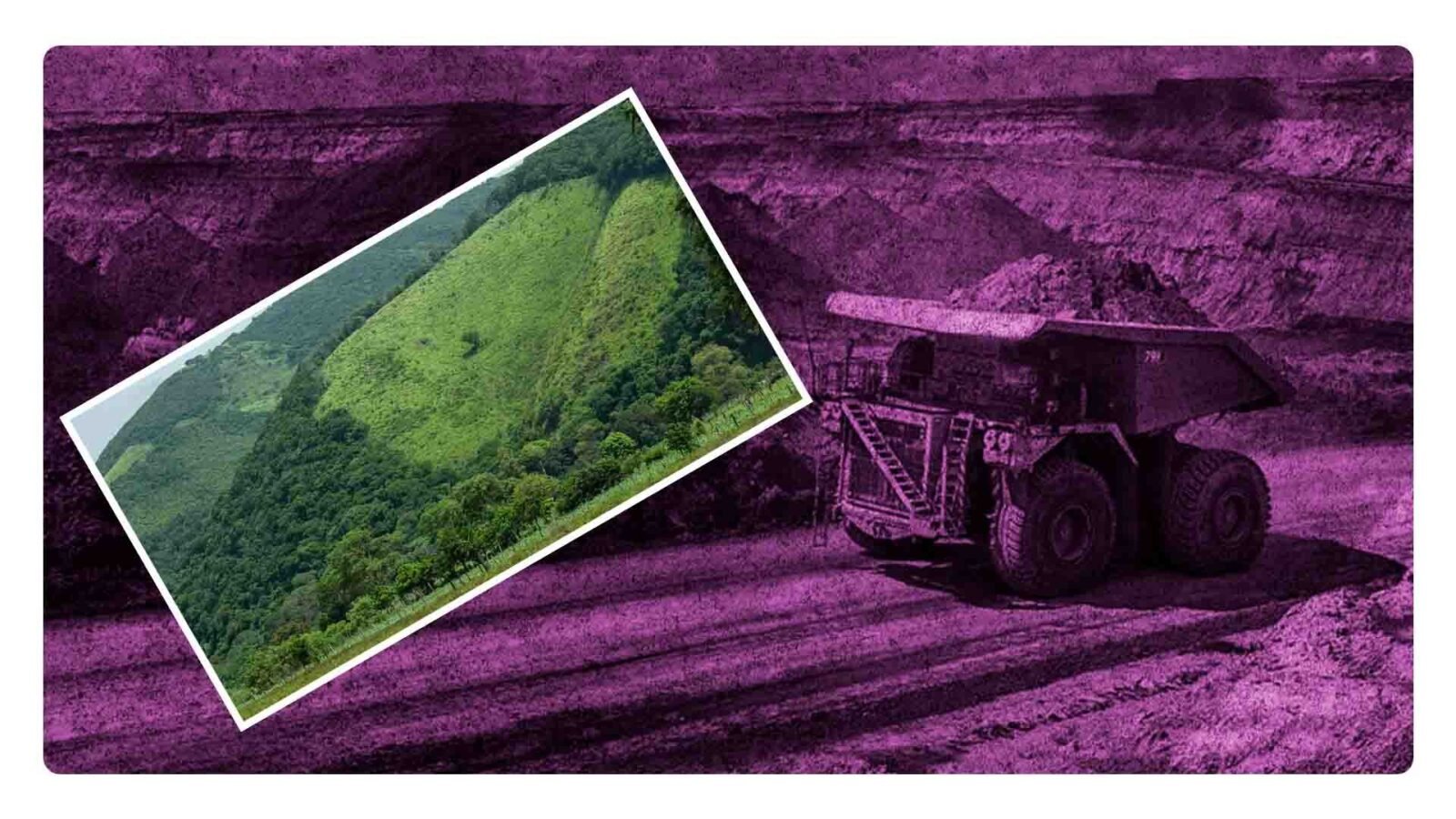 Minaurum Gold amenaza biodiversidad en la selva de los Chimalapas