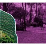 realizan cateo en departamentos de la inmobiliaria City Towers