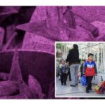 habrá clases el 2 de febrero de 2023