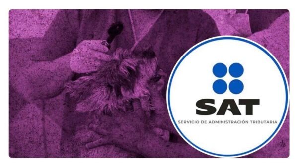 Deducciones personales ante el sat 2024