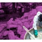 Desmantelan narcolaboratorio en Sonora