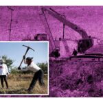 madres buscadoras encuentran dorso de mujer en Ecatepec