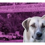 Continúan asesinatos a perros en el Bosque de Nativitas, Xochimilco.