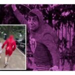 Policías de São Paulo detienen a ladrones en Carnaval