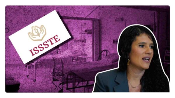 quien es bertha alcalde directora del issste