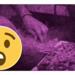 taquero amenaza con machete