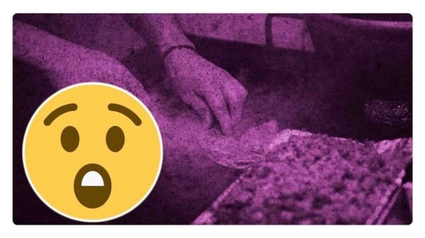 taquero amenaza con machete