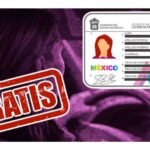 tramita tu licencia de conducir gratis en marzo ¿que necesitas?