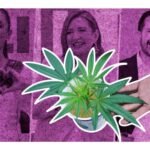 Qué dicen los candidatos presidenciales sobre la regulación de la marihuana